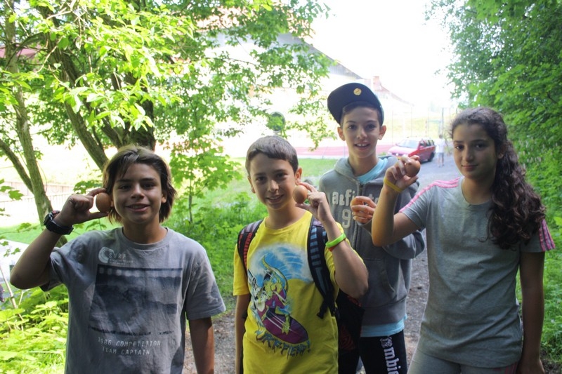 Village Camps International Summer Camp Leysin, Switzerland 2026-08-15 https://www.villagecamps.com/journals_admin/images/685-23-obstacle course (18).jpg